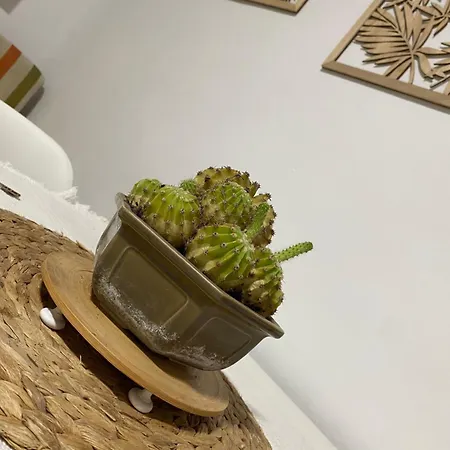 Vistafranca Apartment Malaga